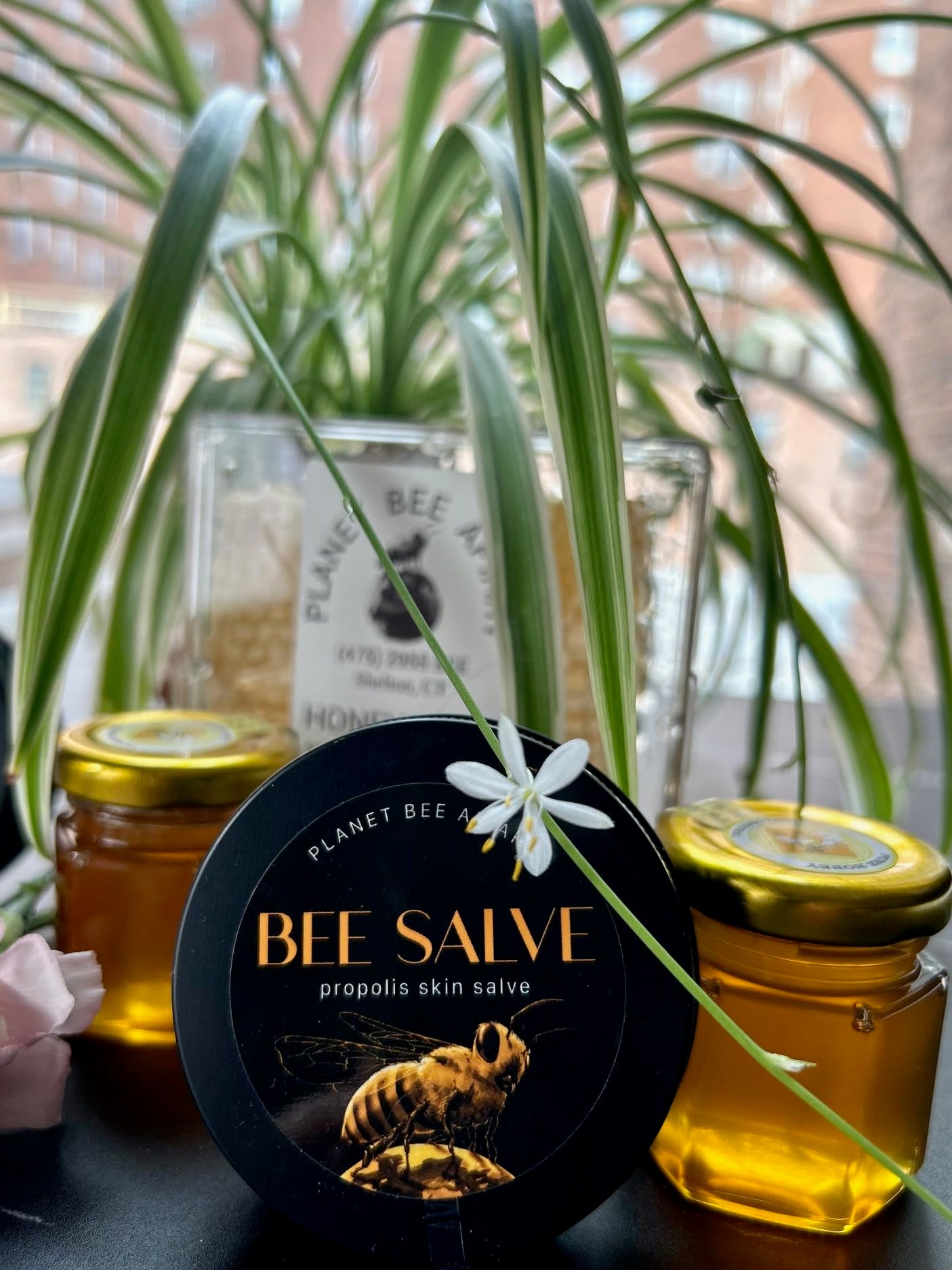 LAVENDER Hand Salve